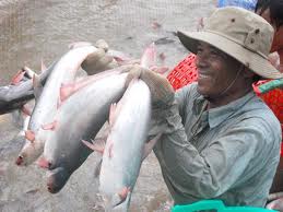 Objectif: 2 milliards de dollars d'exportation de pangas en 2012